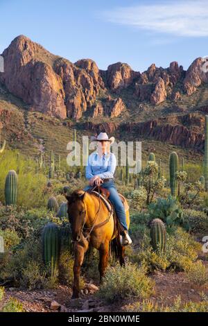 Reiten, White Stallion Ranch, Tucson, Arizona. Stockfoto