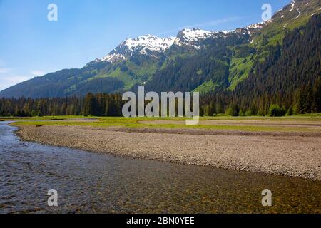 Windfall Harbor, Admiralty IslandTongass National Forest, Alaska. Stockfoto