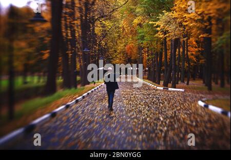 Hausmeister mit der Schaufel, die weggeht, die Blätter auf der Herbststraße fallen. Reinigungsblätter in der Stadt, Kehrmaschine mit Besen, Herbstsaison Stockfoto