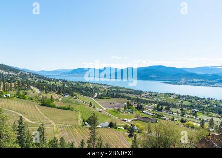 Panoramablick auf die Weinberge der Narmata Bank, den Okanagan Lake und das Okanagan Valley im Frühling Stockfoto