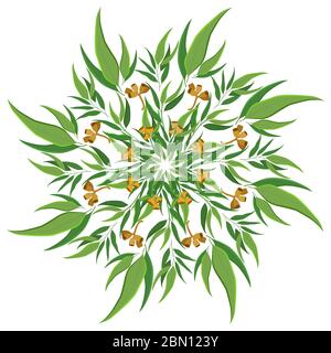 Abstrakte Natur rund Ornament, Mandala-Muster. Rundes Eukalyptus-Blumenmotiv, Muster isoliert auf weißem Hintergrund Stock Vektor
