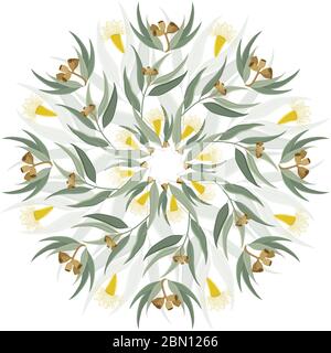 Abstraktes kreisförmiges Ornament, Mandala mit einheimischen australischen Eukalyptusblättern und Blüten. Rundes Blumenmuster isoliert auf weißem Hintergrund Stock Vektor