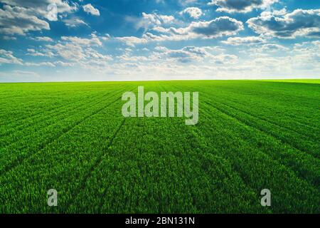Luftaufnahme über den landwirtschaftlichen Feldern Stockfoto