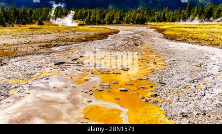 Die Bakterienmatte im Ablaufkanal des Grand Geyser im Upper Geyser Basin entlang des Continental Divide Trail im Yellowstone National Park Stockfoto