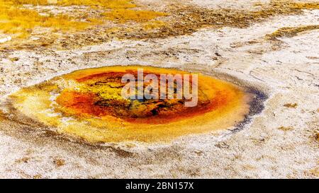 Die bunten Mineralien im Wave Spring im Upper Geyser Basin entlang des Continental Divide Trail im Yellowstone National Park, Wyoming, USA Stockfoto