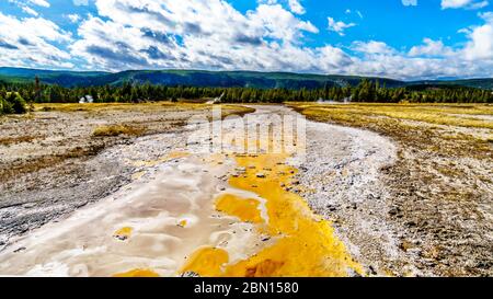 Die Bakterienmatte im Ablaufkanal des Grand Geyser im Upper Geyser Basin entlang des Continental Divide Trail im Yellowstone National Park Stockfoto