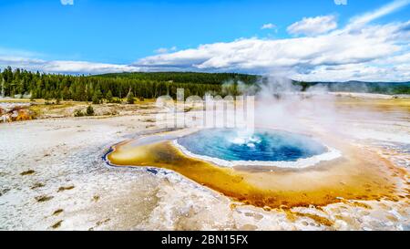 Dampf aus dem Crested Pool im Upper Geyser Basin entlang des Continental Divide Trail im Yellowstone National Park, Wyoming, USA Stockfoto