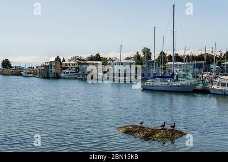 VICTORIA, KANADA - 14. JULI 2019: Hafen im Stadtzentrum mit Yachten und modernen Gebäuden. Stockfoto