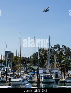 VICTORIA, KANADA - 14. JULI 2019: Hafen im Stadtzentrum mit Yachten und modernen Gebäuden. Stockfoto