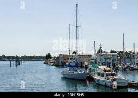 VICTORIA, KANADA - 14. JULI 2019: Hafen im Stadtzentrum mit Yachten und modernen Gebäuden. Stockfoto