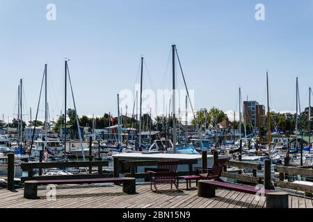 VICTORIA, KANADA - 14. JULI 2019: Hafen im Stadtzentrum mit Yachten und modernen Gebäuden. Stockfoto