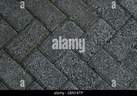 Pflasterung Steinstruktur. Textur der gepflasterten Fliesen auf der Unterseite der Straße. Stockfoto