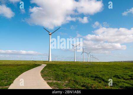 Weg durch den Deich zum riesigen Windmühlenpark mit riesigen Turbinen in den Niederlanden Noordoostpolder, Grünstrom-Windmühlenpark in Flevoland Stockfoto