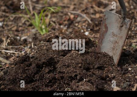 Nahaufnahme von realistischer Kelle, die in die Erde gesteckt wurde Stockfoto