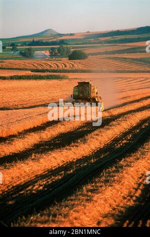 Mähdrescher in einem Feld. Auvergne. Frankreich Stockfoto