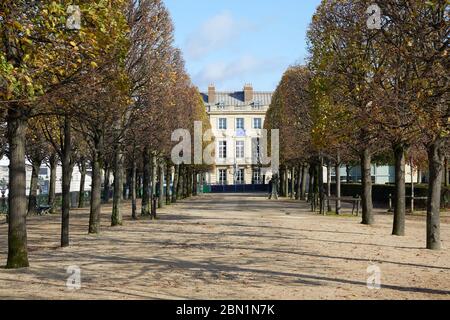 PARIS - 7. NOVEMBER 2019: Tuileries Garten mit Baumreihen in einem sonnigen Herbst in Paris Stockfoto