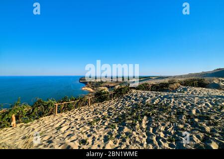 Landschaft von Kurischen Nehrung, Nida, Klaipeda, Lithiania und Ostsee. Sanddünen, Schutzzäune, Kiefernzweige, Fußabdrücke, Frühfrühlingsflora. Stockfoto