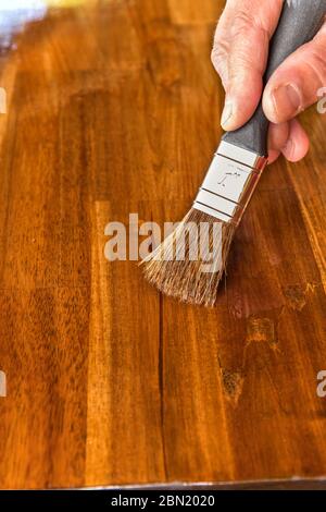 Schutzöl auf ein Holzmöbel auftragen. Lackieren der Tischplatte aus Akazienholz. Nahaufnahme eines Pinsel. Hausarbeit. Stockfoto