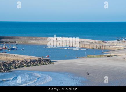 Lyme Regis, Dorset, Großbritannien. Mai 2020. UK Wetter: Ein heller, sonniger und etwas kühler Start in den Tag bei Lyme Regis. Der Strand ist am 50. Tag der Sperrung der Coronavirus-Pandemie fast leer. Die staatlichen Beschränkungen sollen ab Mittwoch in ganz England gelockert werden, so dass die Menschen mehr Freiheit haben, Strände und Schönheiten zu genießen, da der hohe Druck sonniges Wetter und wärmere Bedingungen im Laufe dieser Woche bringt. Kredit: Celia McMahon/Alamy Live News Stockfoto