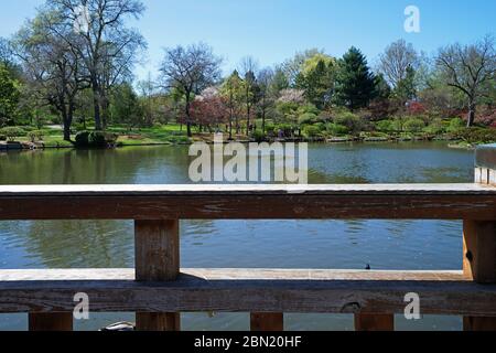 Traditionelle Holzbrücke mit Garten im japanischen Zen-Stil im 'Missouri BOTANICAL GARDEN' - Saint Louis Town, MO Stockfoto