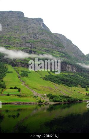 Norwegen, Sognefjord (oder Sognefjord) Fjord 01 Stockfoto