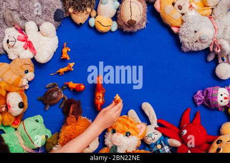 Kinder-Plüschtiere für die Entwicklung von Babyspielen auf blauem Hintergrund Stockfoto