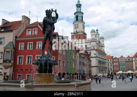 Posen Polen, Straßenbild des Marktplatzes mit Brunnen des Apollo und Reihe von bunten Häusern Stockfoto