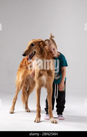 Barsoi mit Mädchen drinnen auf weißem Hintergrund im Studio, russischer Windhund Stockfoto