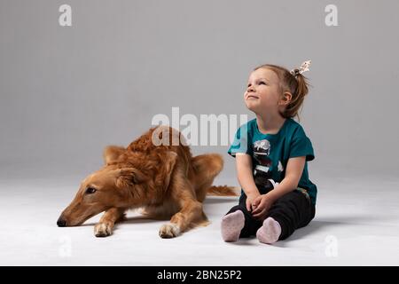 Barsoi mit Mädchen drinnen auf weißem Hintergrund im Studio, russischer Windhund Stockfoto