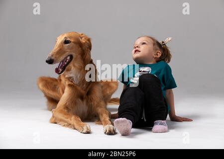 Barsoi mit Mädchen drinnen auf weißem Hintergrund im Studio, russischer Windhund Stockfoto