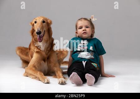 Barsoi mit Mädchen drinnen auf weißem Hintergrund im Studio, russischer Windhund Stockfoto