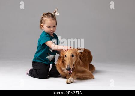 Barsoi mit Mädchen drinnen auf weißem Hintergrund im Studio, russischer Windhund Stockfoto