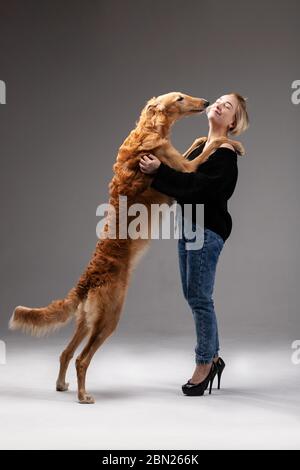 Barsoi mit Mädchen drinnen auf weißem Hintergrund im Studio, russischer Windhund Stockfoto