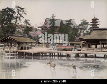 Itsukushima-Schrein, miyajima Aki, Japan Stockfoto