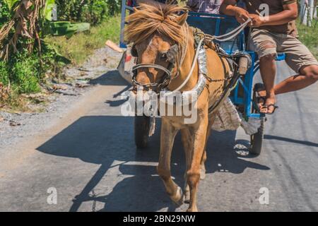 Rural Horse Cart mit Touristen in einer vietnamesischen Landschaft. Vietnam, Mekong Delta, 20. März 2020. Stockfoto