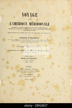 Titelblatt und Titelblatt handkolorierte Skizze aus dem Buch 'Voyage dans l'Amérique Méridionale' [Reise nach Südamerika: (Brasilien, die östliche republik Uruguay, die Argentinische Republik, Patagonien, die republik Chile, die republik Bolivien, die republik Peru), hingerichtet in den Jahren 1826 - 1833] 4. Band Teil 3 von: Orbigny, Alcide Dessalines d', d'Orbigny, 1802-1857; Montagne, Jean François Camille, 1784-1866; Martius, Karl Friedrich Philipp von, 1794-1868 Veröffentlicht Paris :Chez Pitois-Levrault et c.e ... ;1835-1847 Stockfoto