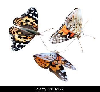 Monarch gelben Schmetterling auf weißem Hintergrund. Fliegender Schmetterling. Symbolsatz. 3d-Darstellung Stockfoto