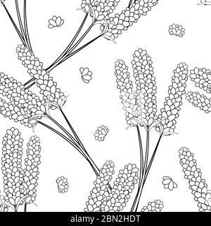 Lavendel Blume Umriss nahtlos auf weißem Hintergrund. Vektorgrafik. Stock Vektor