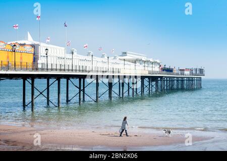 Eine Frau geht mit ihrem Hund unter dem geschlossenen Pier am Strand von Paignton während der Sperrung des Coronavirus, Großbritannien Stockfoto