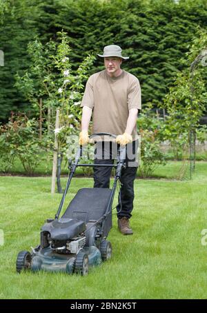 Männlicher Gärtner mäht einen Rasen in einem Garten mit einem Benzinrasenmäher, Großbritannien Stockfoto
