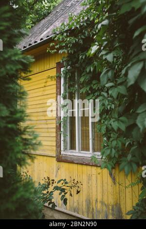 Gemütliches kleines Landhaus, gelb bemalt zwischen üppigen grünen Bäumen und Büschen, wunderschöner Garten im Sommer Stockfoto