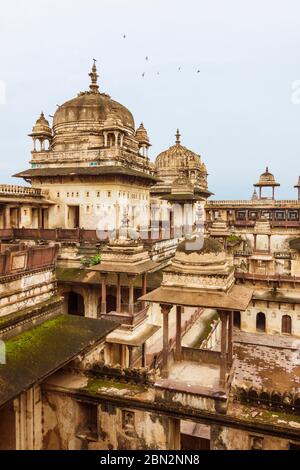 Orchha, Madhya Pradesh, Indien: Kuppeln des 17. Jahrhunderts Jahangir Mahal Palast innerhalb des Orchha Fort Komplexes. Stockfoto