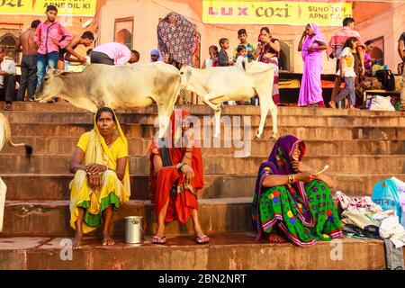Chitrakoot, Madhya Pradesh, Indien : drei Frauen in bunten Saris sitzen neben zwei Kaurischnessen auf den Stufen von Ramghat auf dem Mandakini Fluss, wo während Stockfoto
