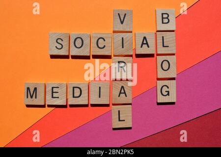 Viral, Media, Social, Blog, Wörter in Holz Alphabet Buchstaben in Kreuzworträtsel auf buntem Hintergrund isoliert Stockfoto