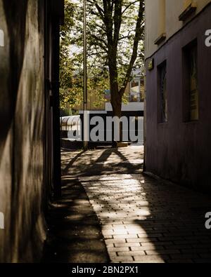 MERTHYR TYDFIL, WALES - 11. MAI 2020 - Gasse in merthyr mit starken Schatten und Baum am Ende Stockfoto