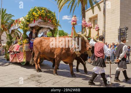 Sardinien Festival, Blick auf einen reich dekorierten traditionellen Bullock Karren Paraden durch das Zentrum von Sassari in der Cavalcata Festival, Sardinien. Stockfoto