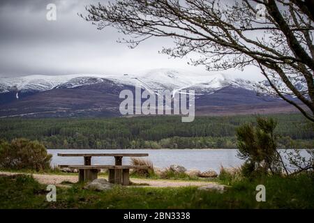 Ein leerer Picknicktisch am Loch Morlich im Cairngorms National Park, nahe Aviemore, nachdem den Menschen gesagt wurde, dass sie nicht nach Schottland reisen sollten, obwohl die Regierung die Lockerungsmaßnahmen in England angekündigt hatte. Stockfoto