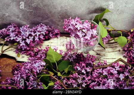Lila Blüten in Glas und auf dem Tisch verteilt Stockfoto