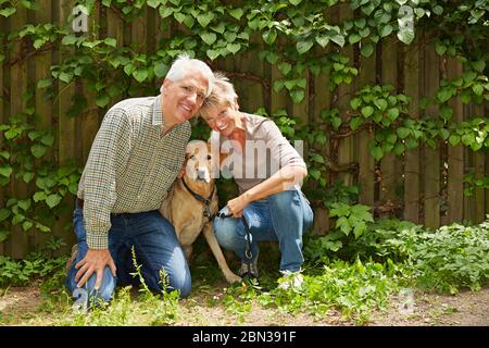 Glückliche Paar von Senioren sitzen mit labrador Retriever Hund im Garten Stockfoto
