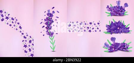 Realistische Blüten Lavendel mit grünen Blatt. Duftender Lavendel auf violettem Hintergrund. Schöne Lavendel Nahaufnahme. Violetter Lavendel in Bewegung.Draufsicht. 3d-Darstellung Stockfoto
